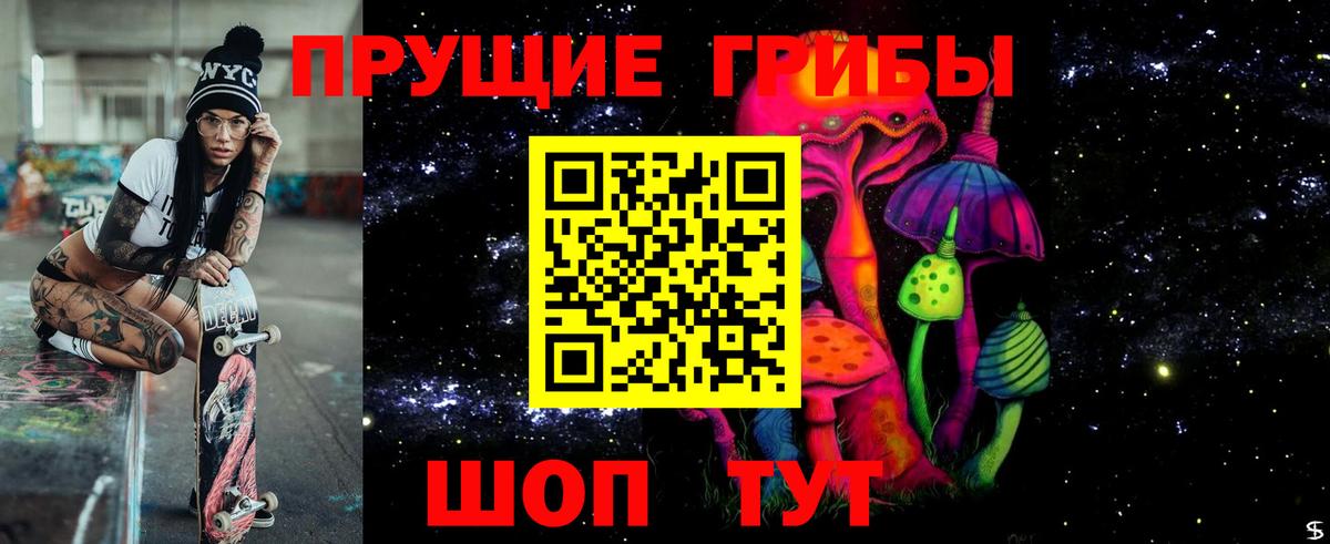Псилоцибиновые грибы Psilocybine cubensis Тихвин